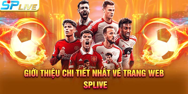 Giới thiệu chi tiết nhất về trang web SPLIVE