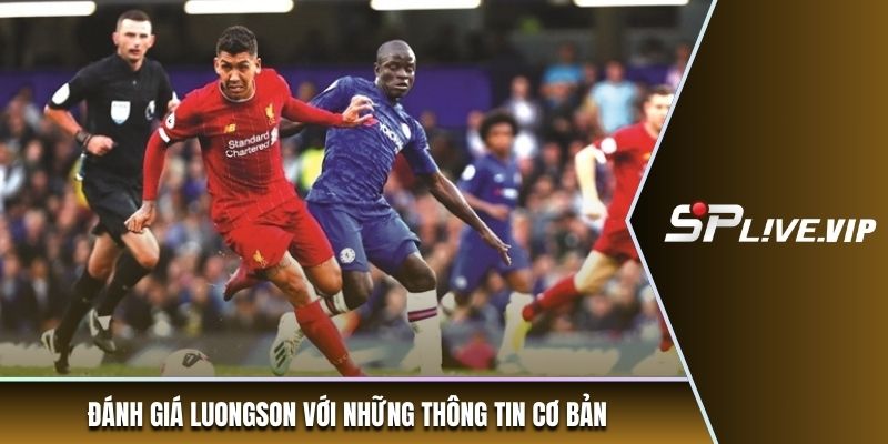 Đánh giá luongson với những thông tin cơ bản