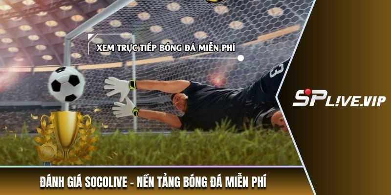Đánh giá Socolive - Nền tảng bóng đá miễn phí