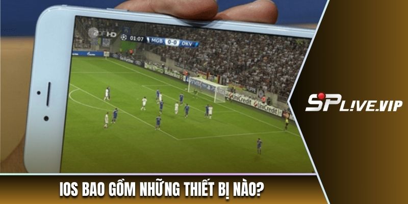 iOS bao gồm những thiết bị nào?