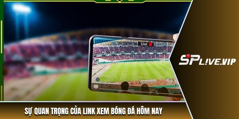 Sự quan trọng của link xem bóng đá hôm nay