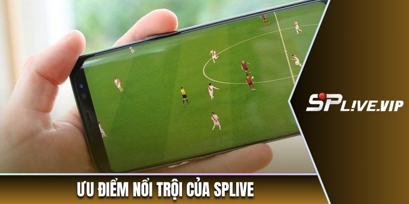 Ưu điểm nổi trội của SPLIVE